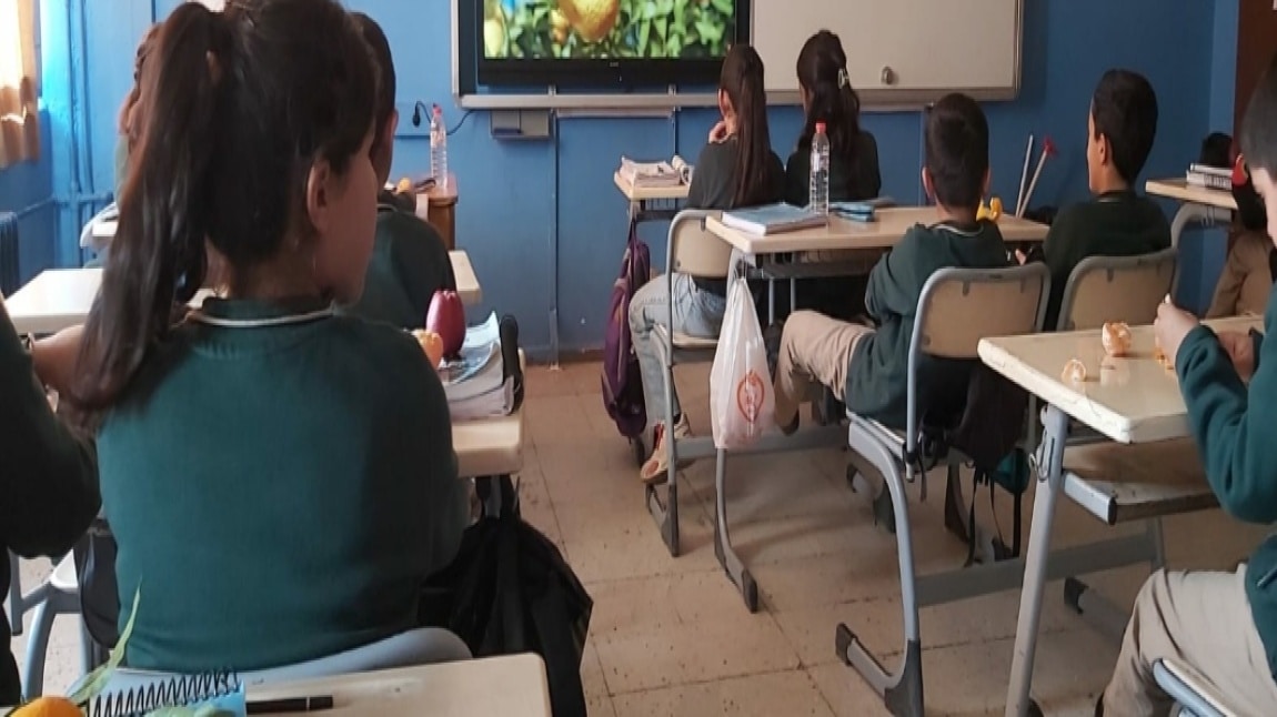Sağlıklı beslenme